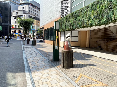 けやき通りスペース